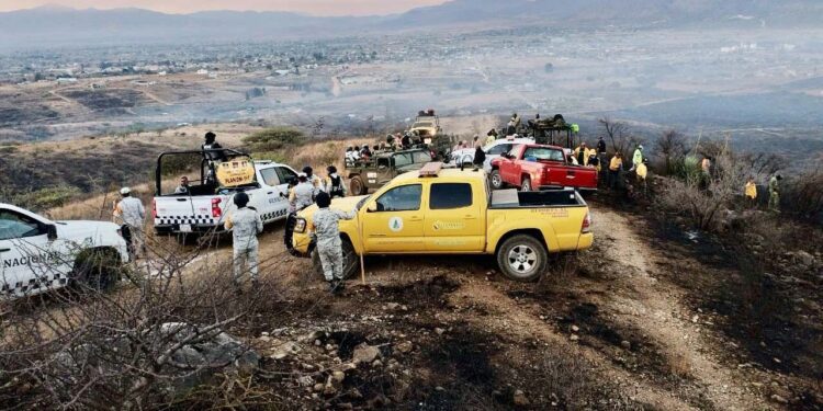 Oaxaca enfrenta su mes más crítico en la temporada de incendios forestales, con más de 7,600 hectáreas afectadas