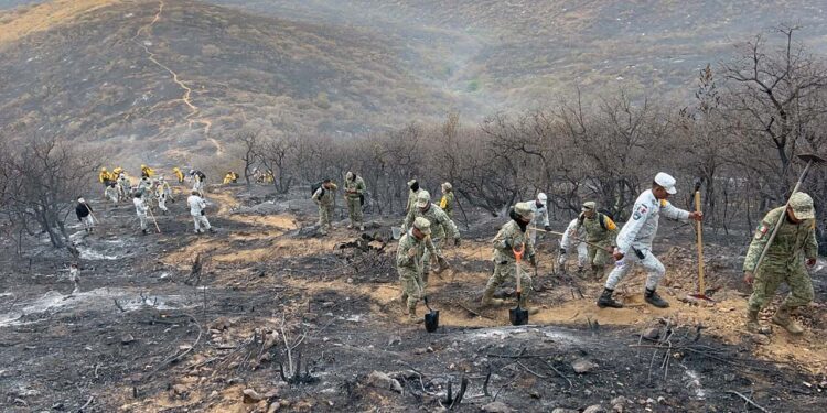 El 69% de los incendios forestales en México son provocados por actividades humanas