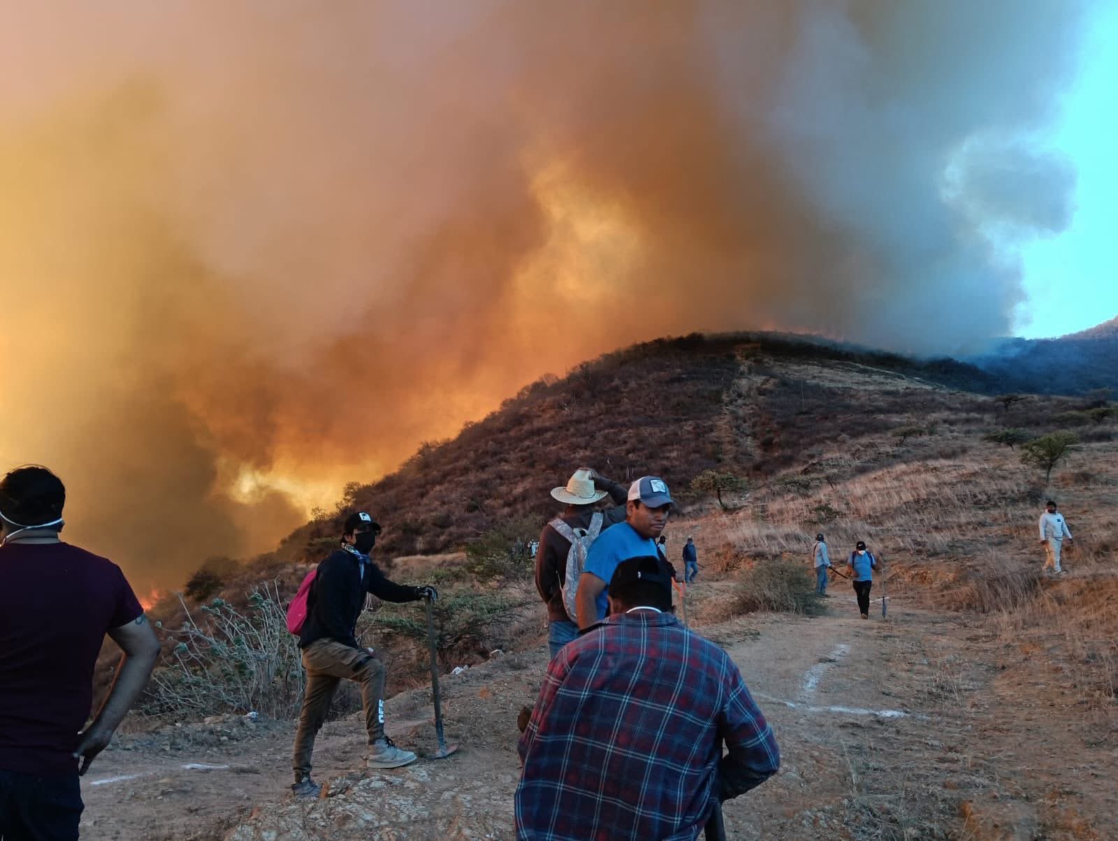 Disminuyen incendios forestales en Oaxaca en 2025, pero se mantienen activos ocho siniestros