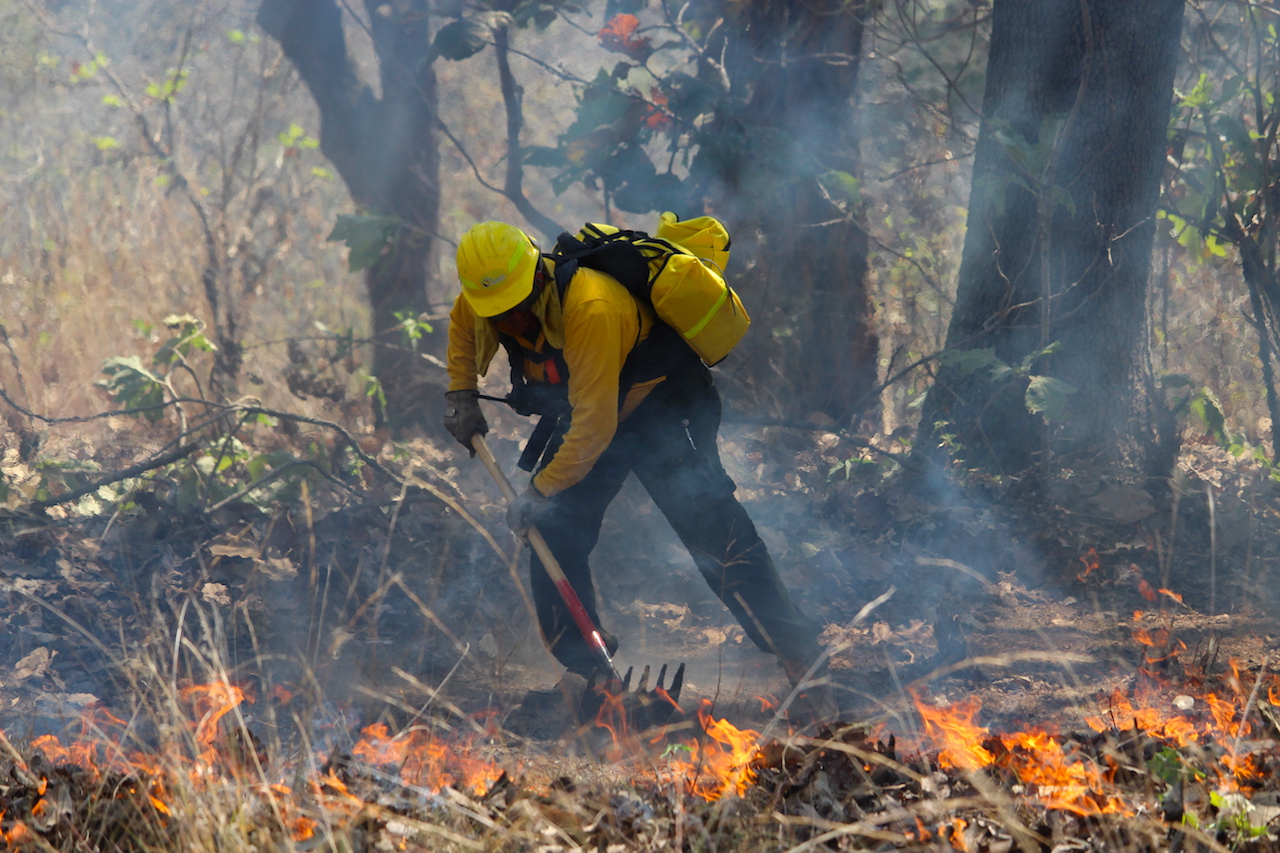Oaxaca combate incendios forestales en diversas regiones del estado