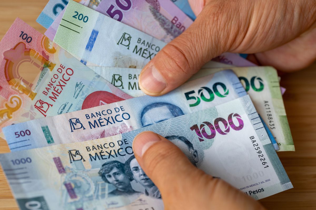 Oaxaca: Denuncian agresiones y presuntos cobros ilegales en el Tianguis Cultural Libertad y Resistencia