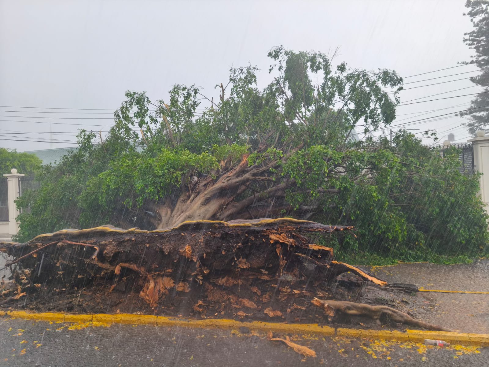 Tormenta Alvin deja estragos en Oaxaca: intensas lluvias y apagones en varias regiones