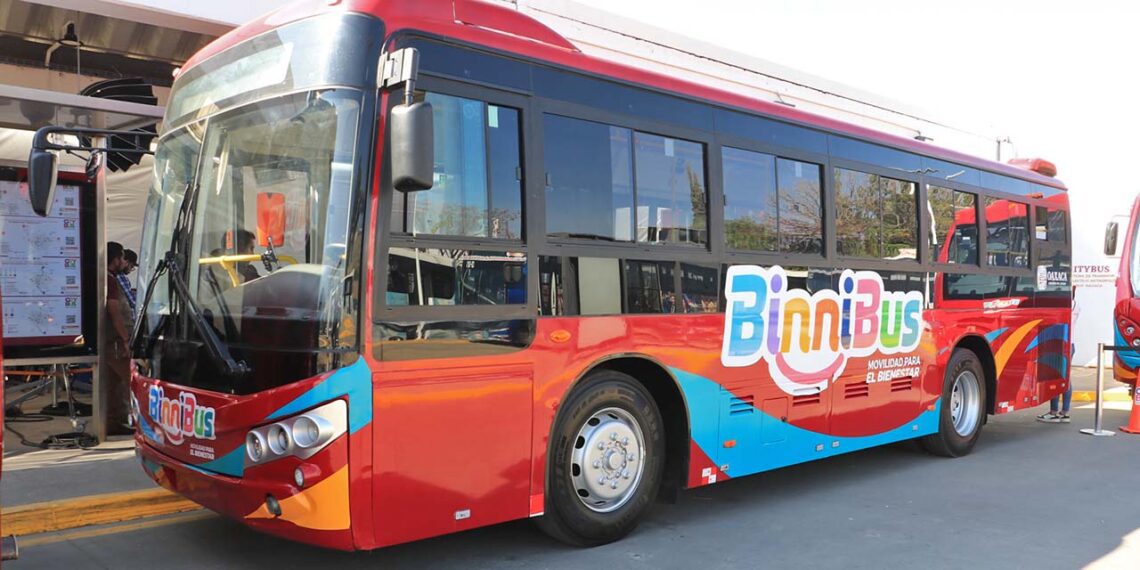 El Sistema Binnibus Acumula 2,000 Quejas y Sugerencias en Lo que Va del Año, Según su Directora