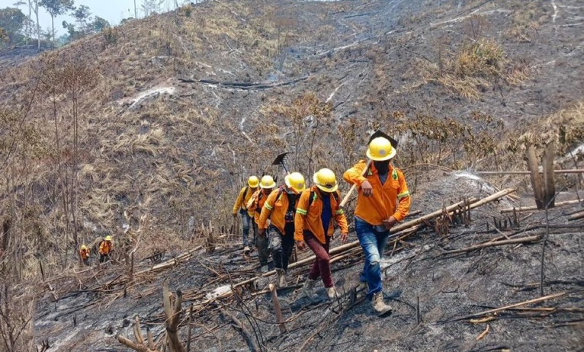 Gobierno de Oaxaca reporta control total de incendios forestales registrados la última semana