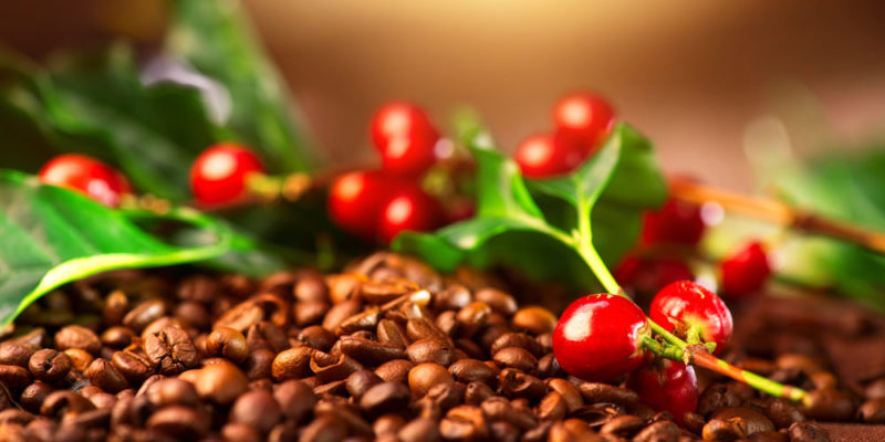 Aumentan precios del café y chocolate en Oaxaca por caída en producción mundial