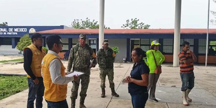 Inicia censo de afectados por huracán Erick en 12 municipios de Oaxaca; avanzan a fase de recuperación