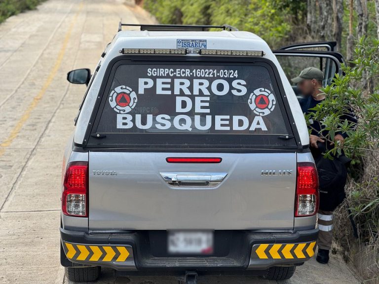 Refuerzan Búsqueda del Niño Iker Iván Marcelino González con Binomios Caninos en la Sierra Mixe