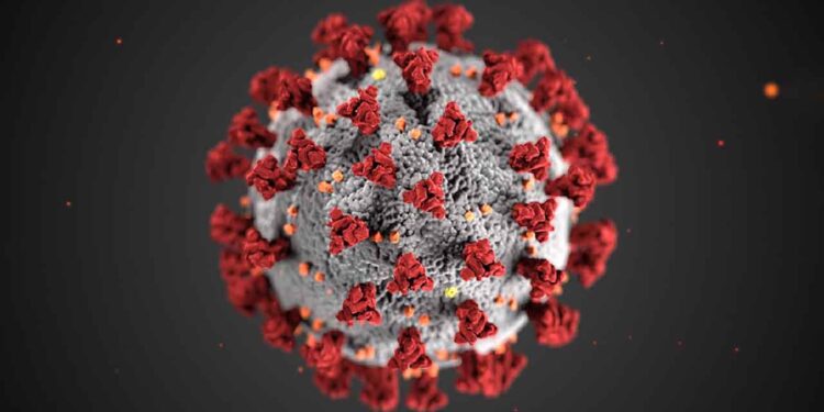 OMS alerta por nueva variante de Covid-19 y aumento de casos a nivel mundial