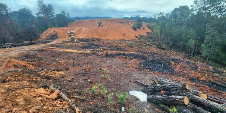 Denuncian riesgo de enfrentamiento en Guerrero Grande, Oaxaca, por desmonte ilegal y falta de intervención gubernamental