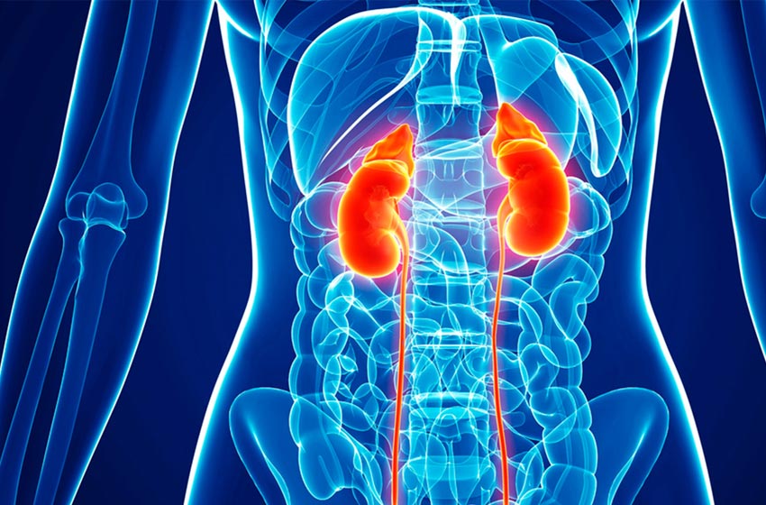 Aumentan muertes por cáncer de riñón en Oaxaca; 70 defunciones en 2023