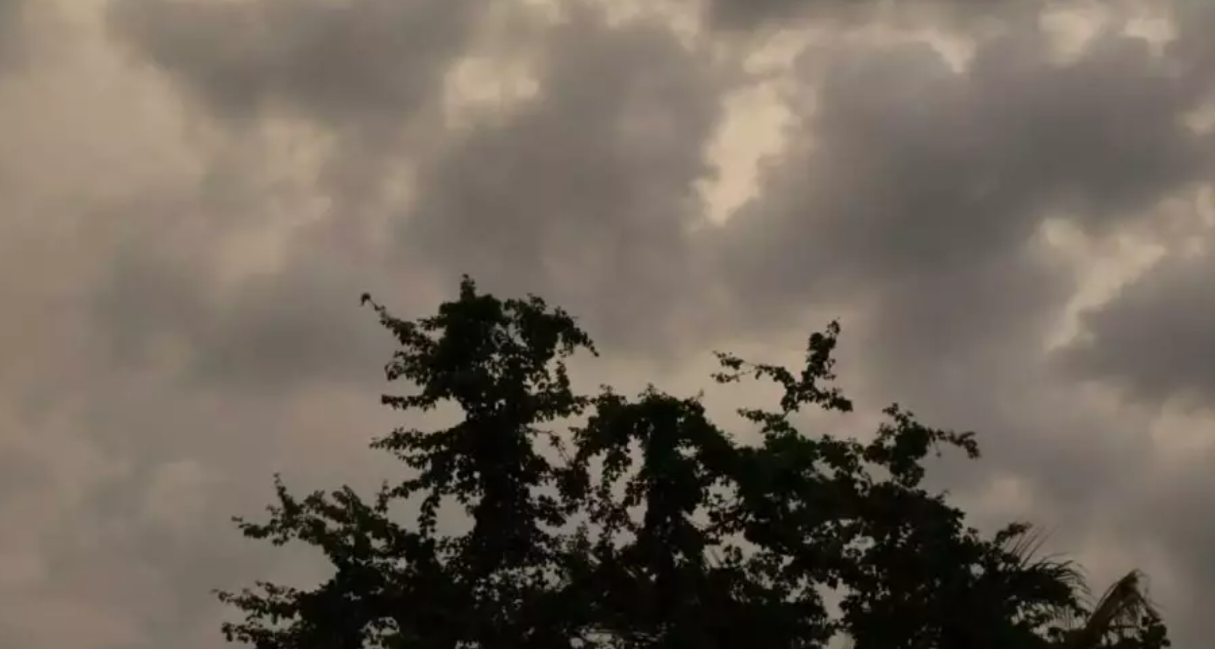 ?️ Clima hoy en Oaxaca: Lluvias, calor intenso y cielos impredecibles ?️