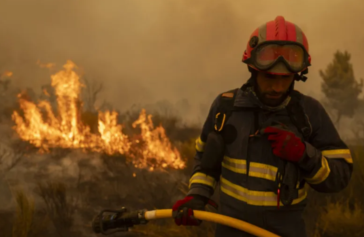 22 de agosto: Día del Bombero en México