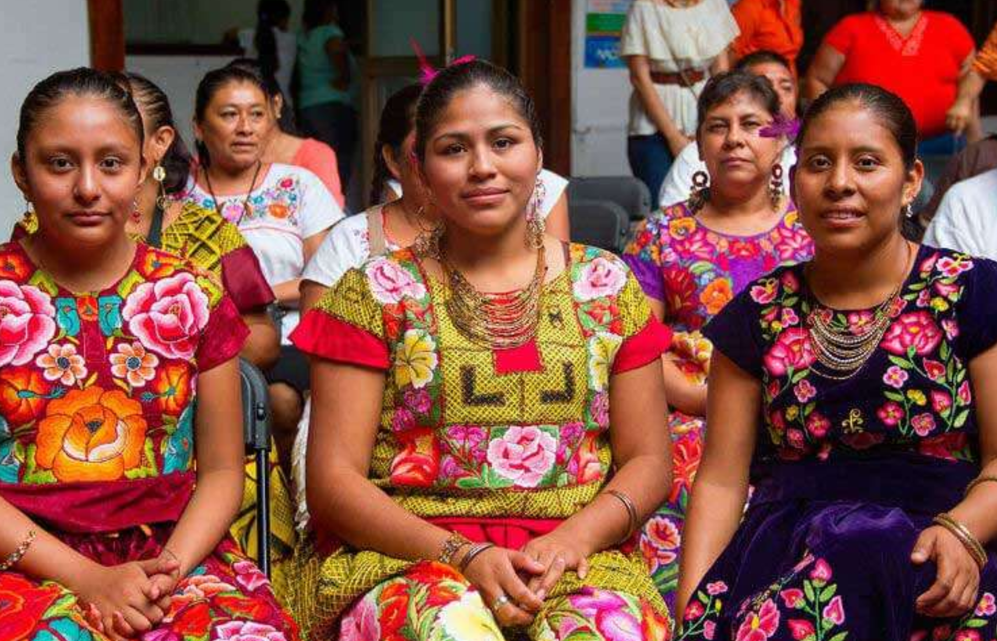 ✨ Primer Encuentro Nacional de Juventudes Indígenas: voces jóvenes para defender territorio y cultura