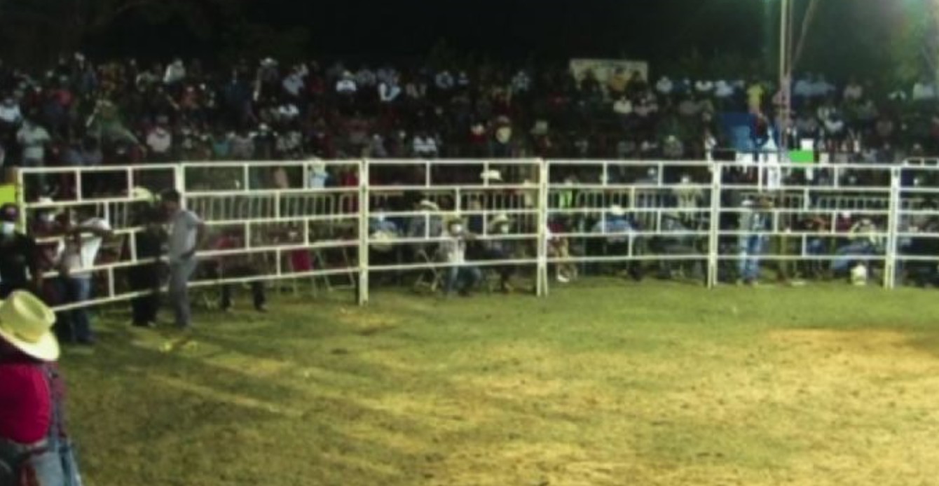? Caos vial en Oaxaca por marcha calenda de galleros y jaripeyeros