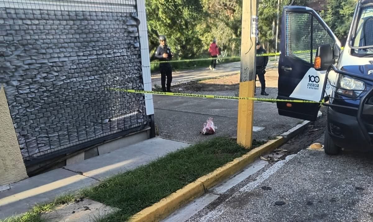 ? Encuentran cabeza de cerdo con mensaje amenazante en San Felipe del Agua