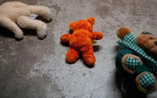 Prev Image