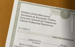 Prev Image