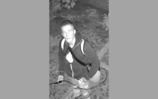 Prev Image