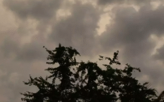 Prev Image